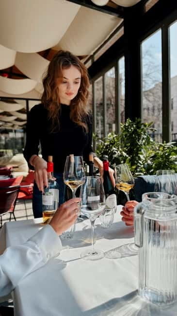 Wine Tasting feel the Difference of Qvevri or Classical Wine - What Makes the Wine Special?