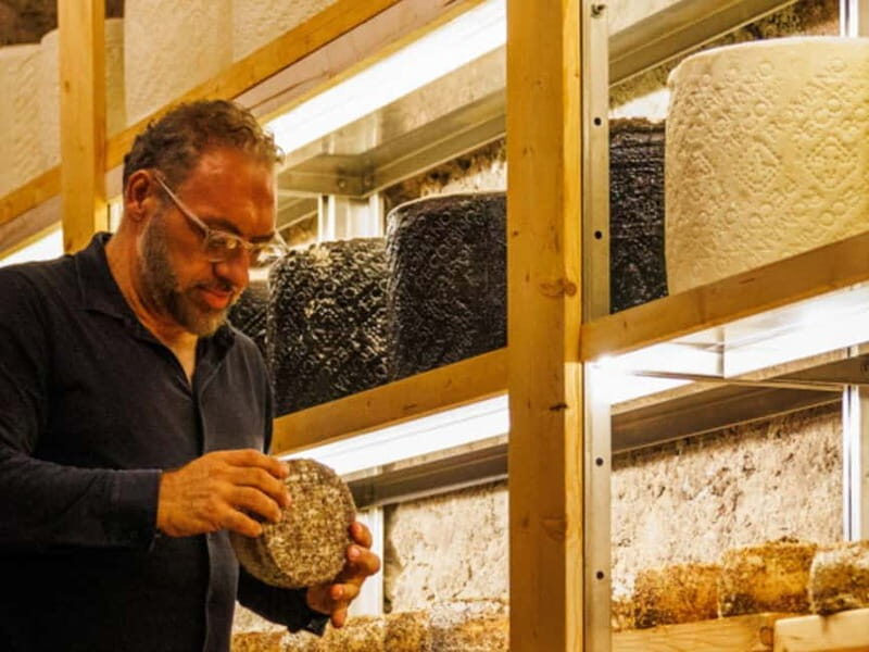 Wine Tasting & Food Pairing in Underground Cellar in Rome - The Art & Culture Connection