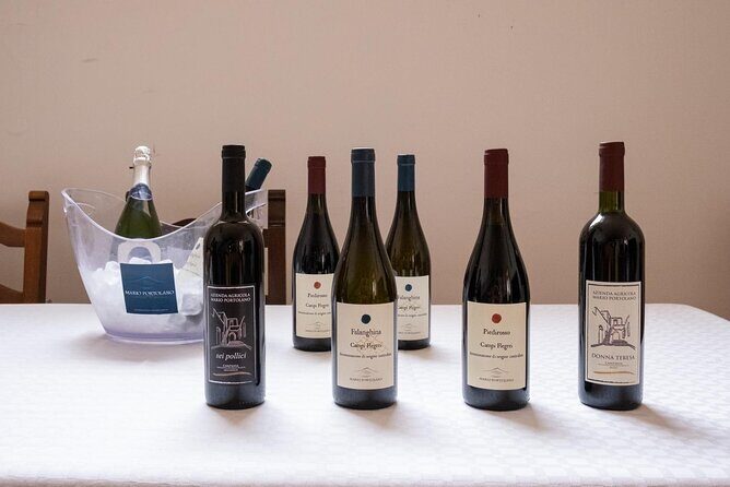 Wine Tasting in Campi Flegrei from Naples - The Itinerary in Detail
