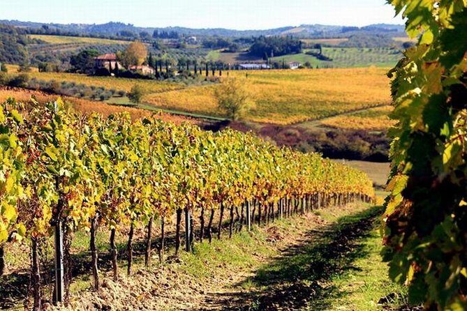 Wine tasting in Chianti, visiting Castellina, in Tuscany from Rome - Key Points