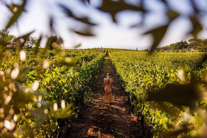 Wine Tasting in Frascati from Rome - Why This Tour Shines