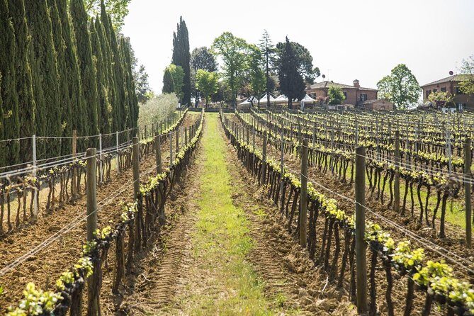 Wine tasting in Montepulciano and visit to Pienza, in Tuscany from Rome - Exploring Tuscany: A Day of Wine, History, and Scenic Views