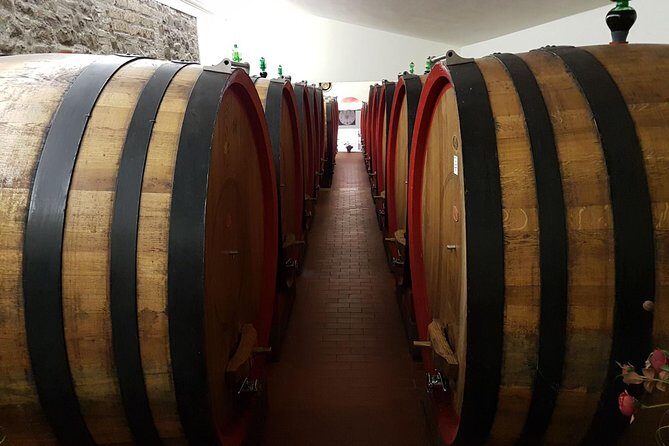 Wine tasting in Montepulciano and visit to Pienza, in Tuscany from Rome - Potential Drawbacks to Consider