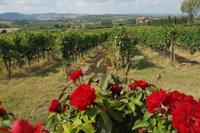 Wine tasting in Montepulciano and visit to Pienza, in Tuscany from Rome - FAQ