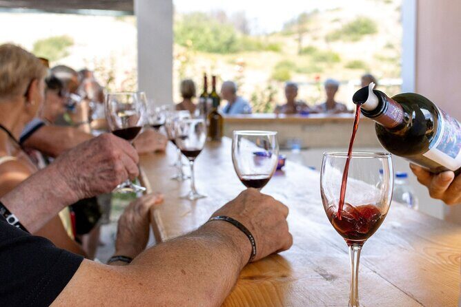 Wine tasting in Rhodes, inside the vineyards with the Producer - A Detailed Look at the Rhodes Wine Tasting Tour