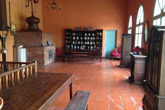 Wine tasting in Rhodes, inside the vineyards with the Producer - FAQ