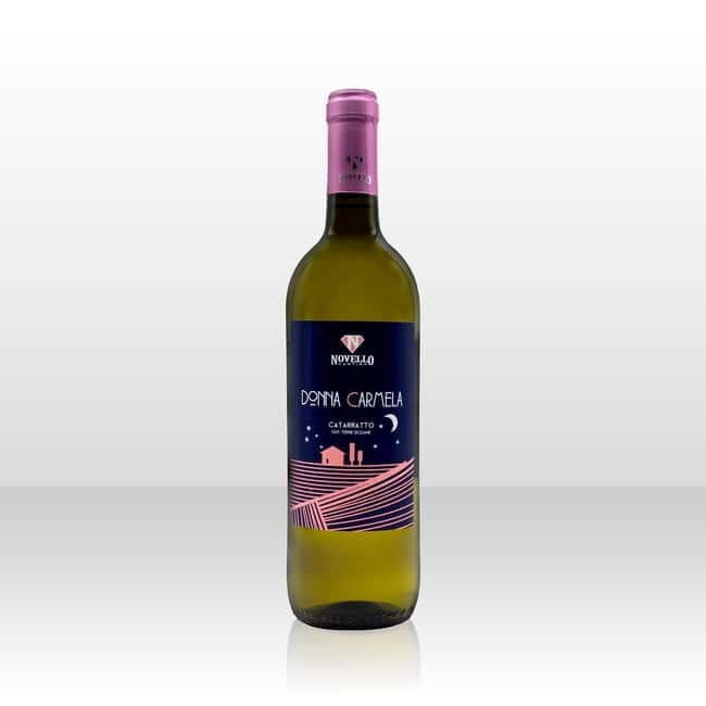 Wine tasting in the cellar - Exploring the Wine Tasting Experience in Avola