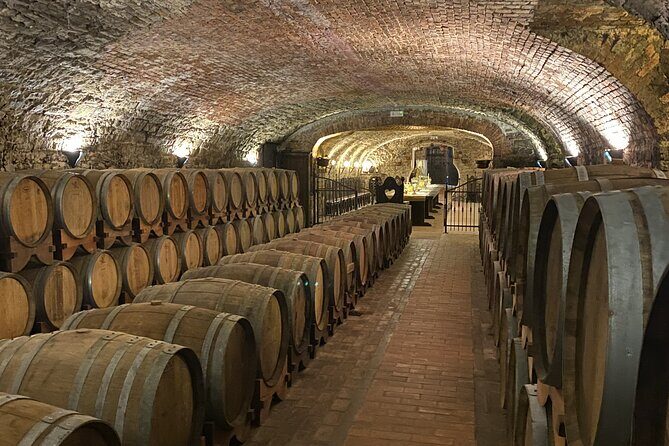 Wine tasting in the Collio wine area, guided tour of Cividale. - Who Is This Tour Best For?
