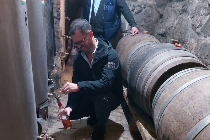 Wine Tasting in the Countryside from Budapest - Key Points