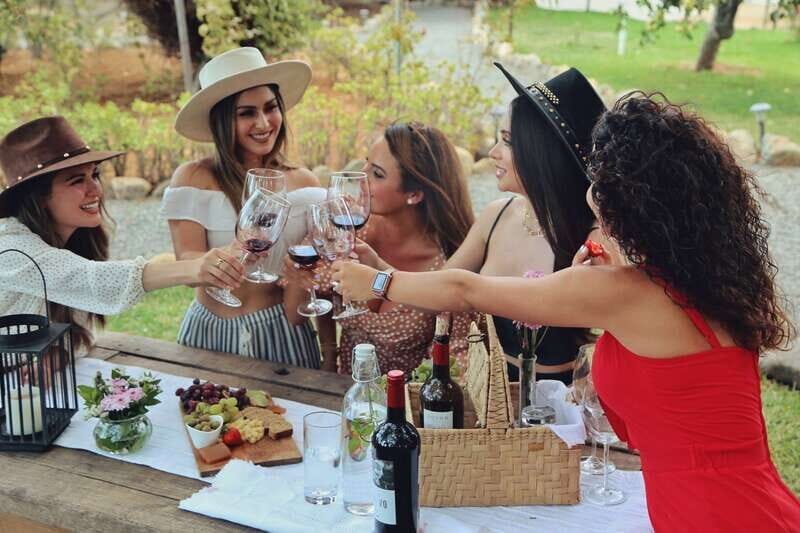 Wine Tasting in the Gardens at Rondo del Valle with vineyard - Who Should Book This Tour?