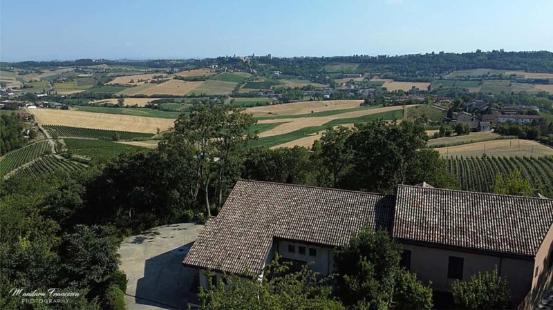 Wine Tasting in the Heart of Monferrato - Classic - Key Points