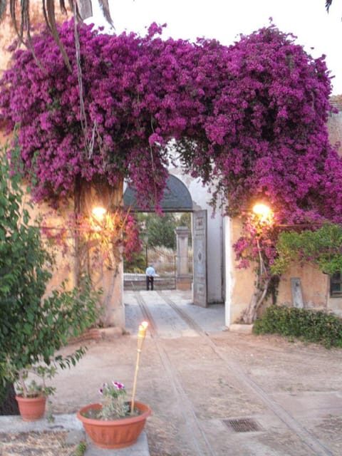 Wine Tasting in the historic baglio Florio Adamo - Frequently Asked Questions