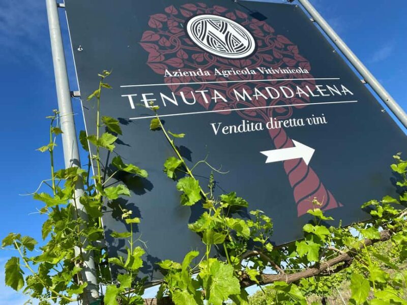 Wine tasting in the morainic hills at Tenuta Maddalena - Key Points