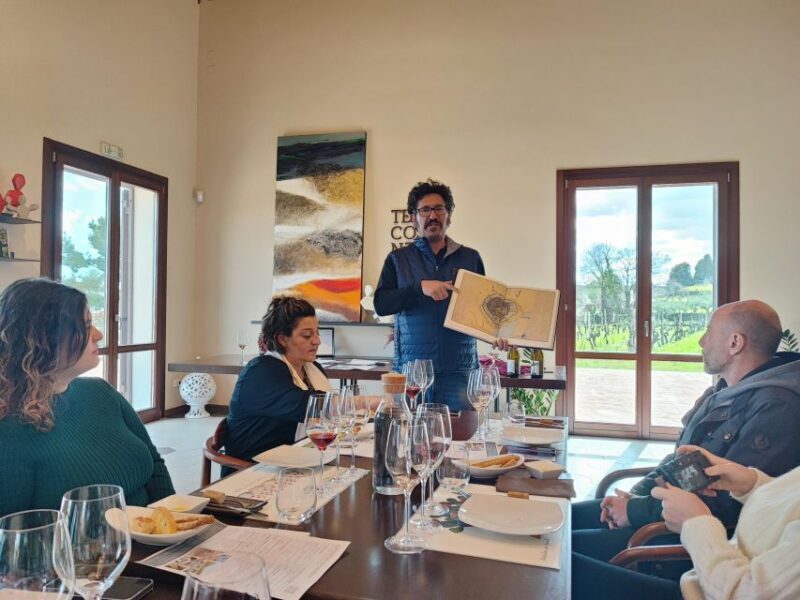 Wine Tasting in the South Slope of Etna - Key Points