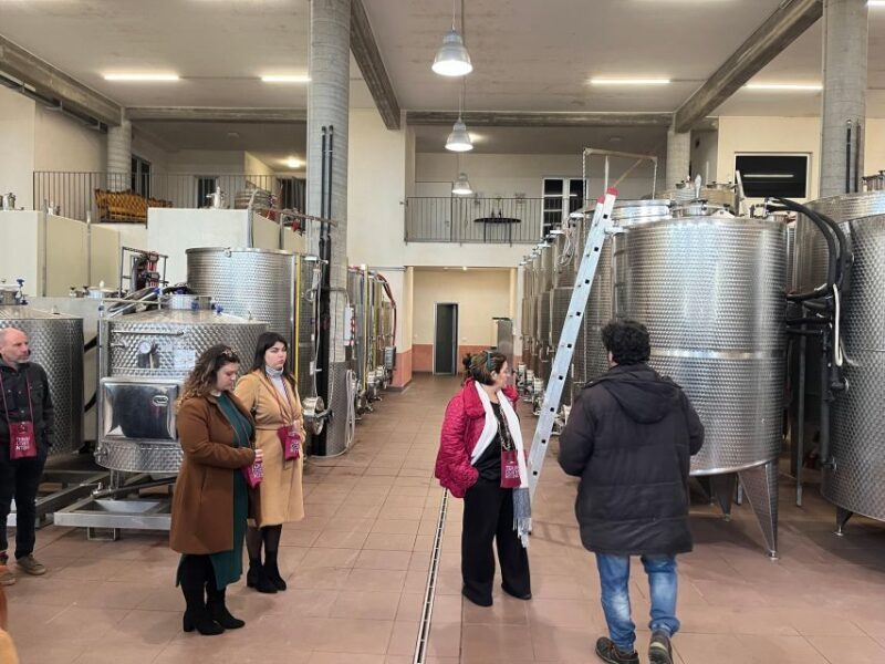 Wine Tasting in the South Slope of Etna - An In-Depth Look at the Experience
