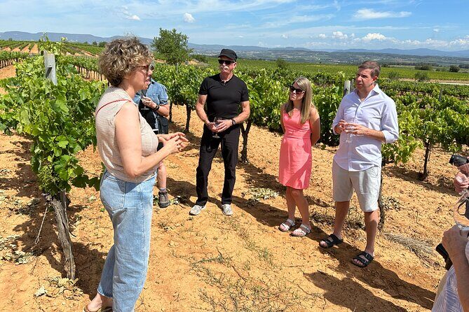 Wine Tasting in Three Boutique Wineries Tour - Max 8 people - Who Is This Tour Perfect For?
