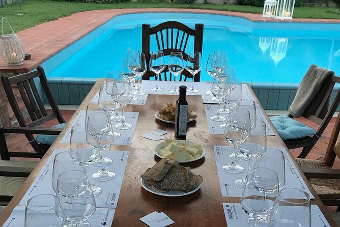 Wine tasting in Versilia with sommelier - 5 wines and local products - The Itinerary: What to Expect