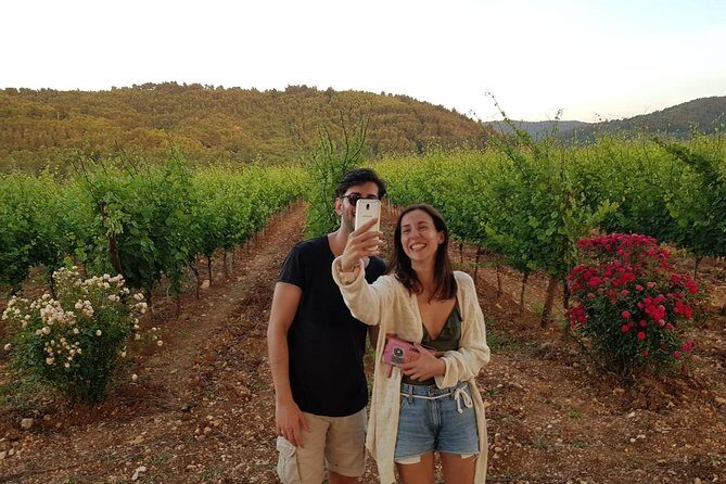 Wine tasting in Vieste - Final Thoughts: Is It Worth It?