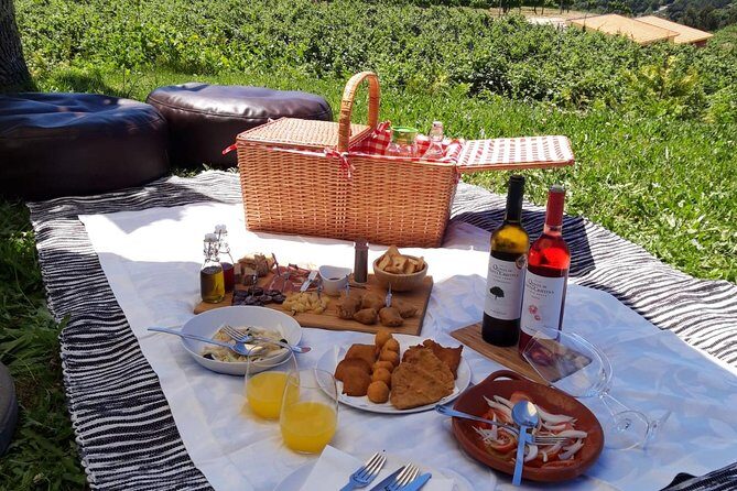 Wine Tasting & Lunch from Porto | Quinta de Santa Cristina - FAQs