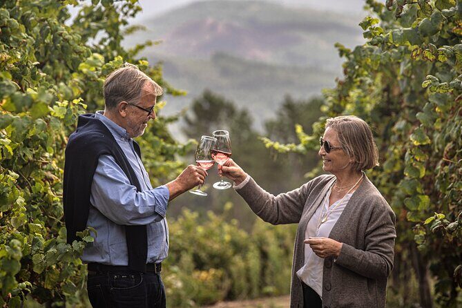 Wine Tasting & Lunch | Quinta de Santa Cristina Vinho Verde - How Does This Tour Provide Value?