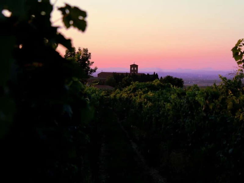 Wine Tasting & Medieval Town Visit at Castelli Romani - Key Points