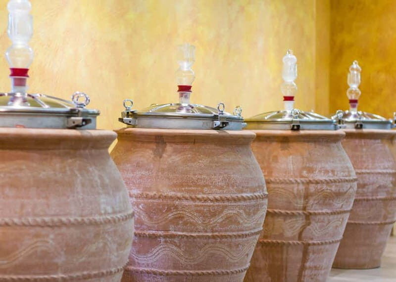 Wine Tasting on Mt. Vesuvius - Is This Tour Worth the Price?