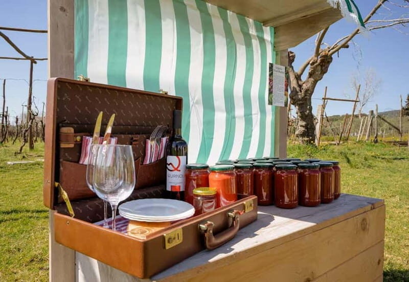 Wine Tasting on Mt. Vesuvius - Practical Tips