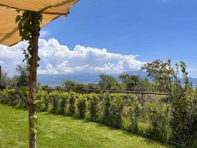 Wine Tasting on Mt. Vesuvius - FAQ