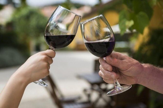 Wine Tasting - Private Half-Day Tour - An In-Depth Look at the Tour