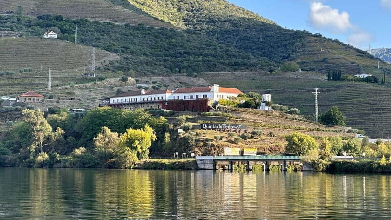 Wine Tasting QT textures of Rosé - Sunset vibe - A Closer Look at the Experience