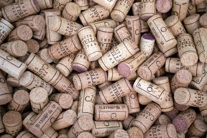 Wine tasting THE CLASSICS - Practical Details and Tips