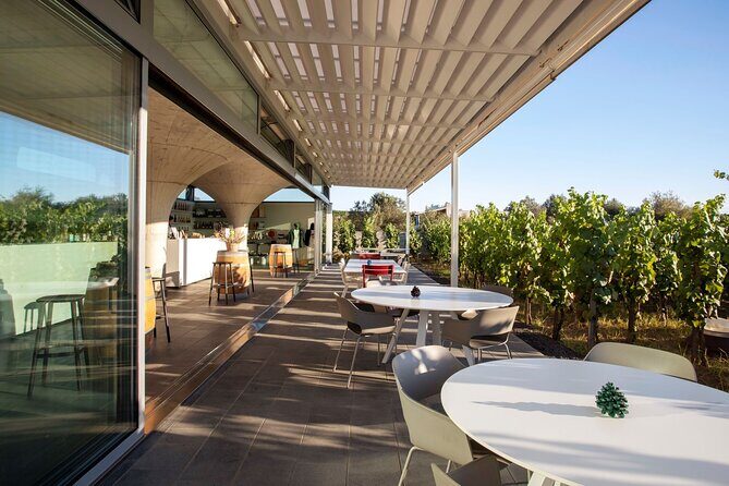 Wine tasting THE CLASSICS - In The Sum Up