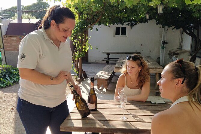 Wine tasting tour - The Practical Side: Logistics, Cost, and Value