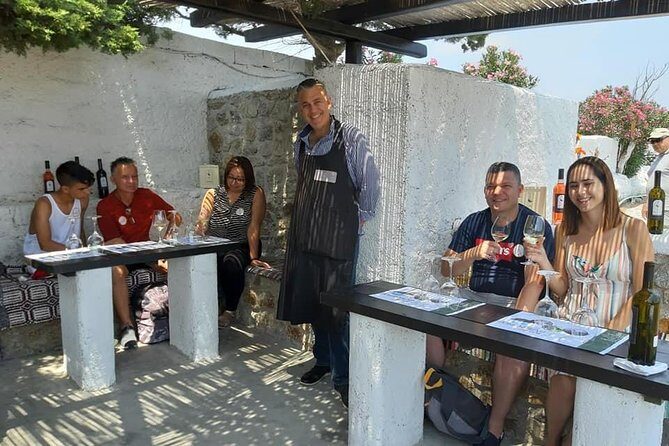 Wine Tasting Tour at a traditional farm in Mykonos - The Sum Up