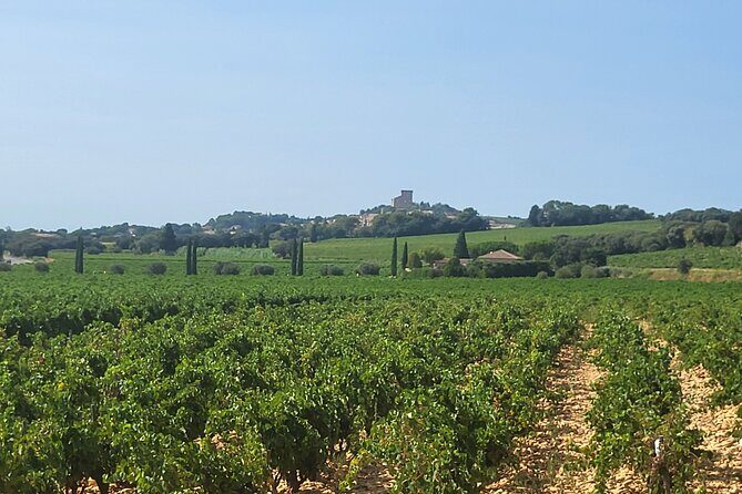 Wine Tasting Tour at Châteauneuf du Pape - Final Thoughts