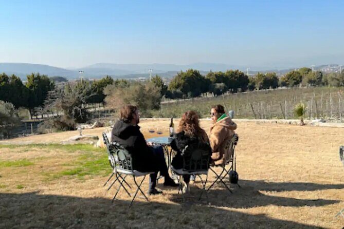 Wine Tasting Tour at Two Wineries in Urla Turkey - Practical Considerations