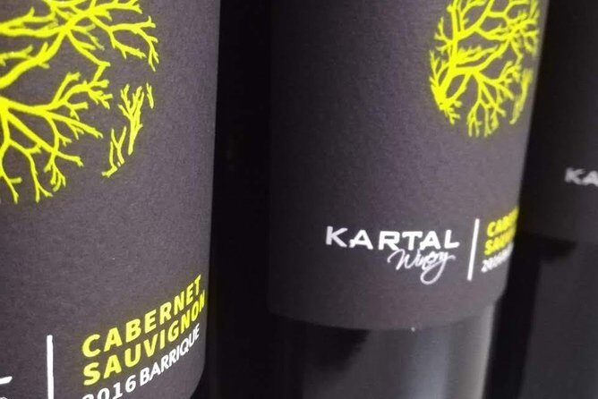 Wine Tasting Tour in Family winery Kartal in Skopje - Final Thoughts