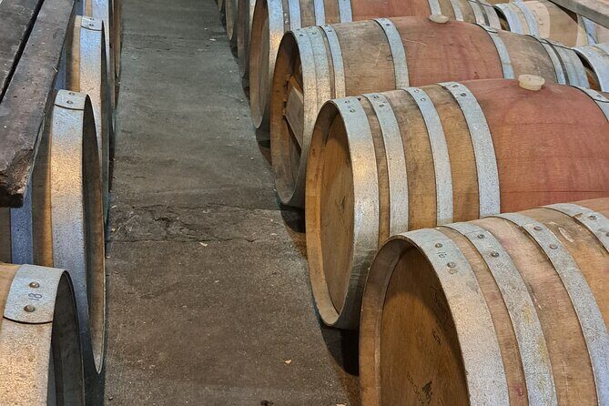 Wine Tasting Tour in Napier Region - What Travelers Are Saying