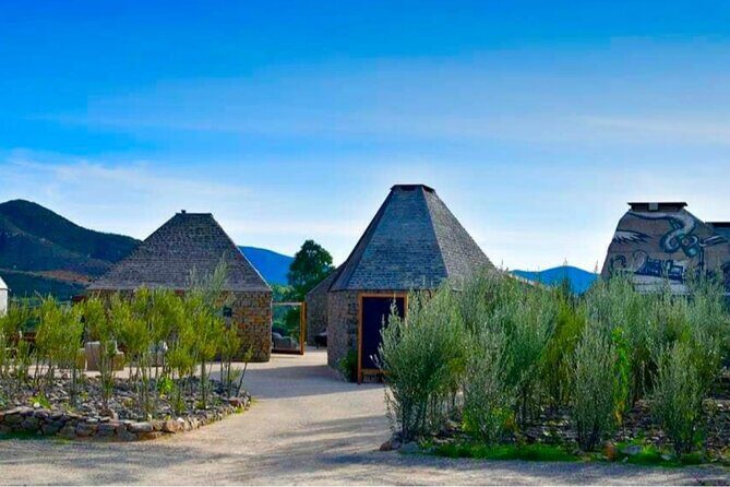 Wine Tasting Tour ONLY for Cruise Ship Visitors. ALL INCLUSIVE! - Key Points