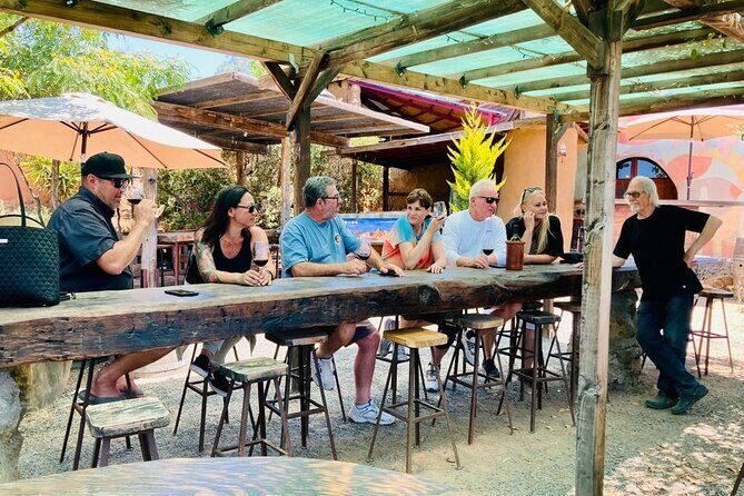 Wine Tasting Tour ONLY for Cruise Ship Visitors. ALL INCLUSIVE! - The Value of the Experience