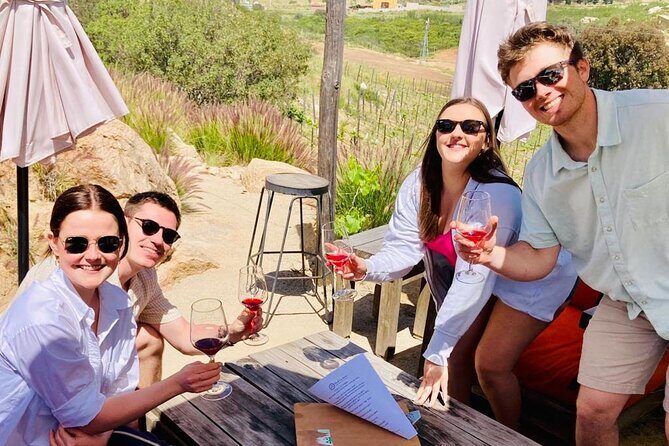 Wine Tasting Tour ONLY for Cruise Ship Visitors. ALL INCLUSIVE! - Who Should Consider This Tour?