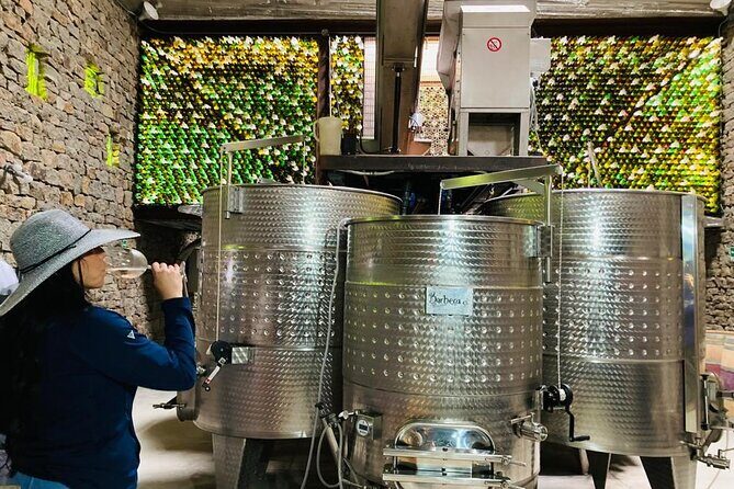 Wine Tasting Tour ONLY for Cruise Ship Visitors. ALL INCLUSIVE! - The Sum Up