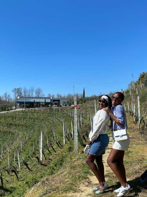 Wine tasting tour, Optional wine yard tour and kayak rides - A Closer Look at the Experience
