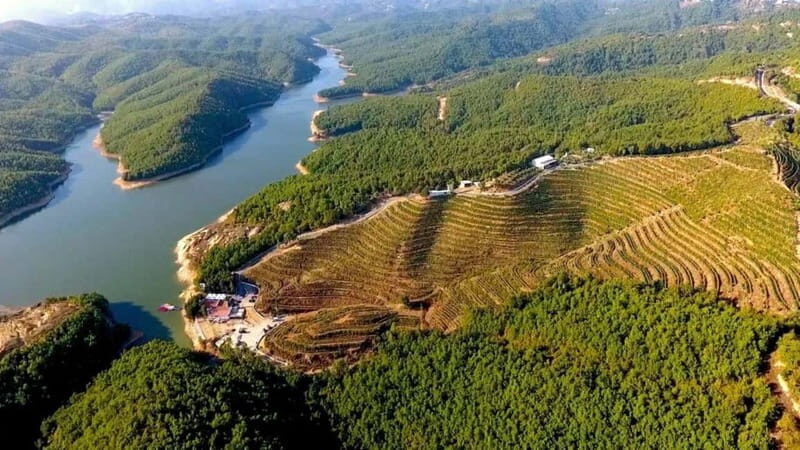 Wine tasting tour, Optional wine yard tour and kayak rides - Who Should Book This Tour?