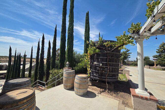 Wine tasting Tour to Temecula from San Diego (Private) - The Experience for Different Travelers