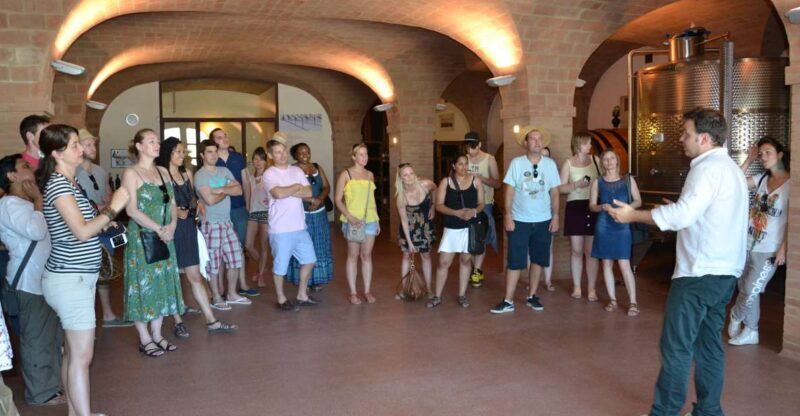 Wine tasting tour with olive oil and salami - A Closer Look at the Experience