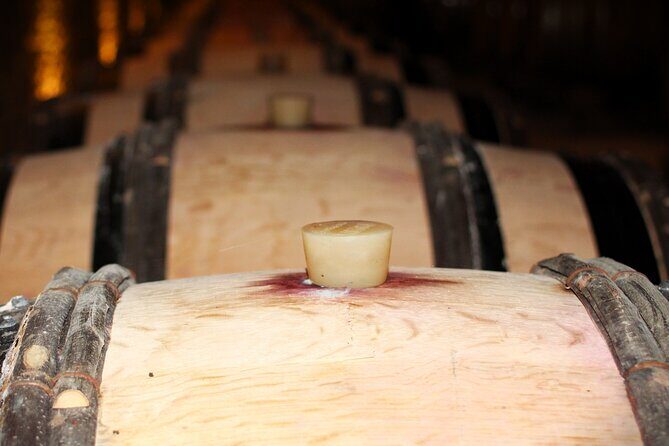 "Wine tasting tours in Burgundy" - Who Will Love This Tour?