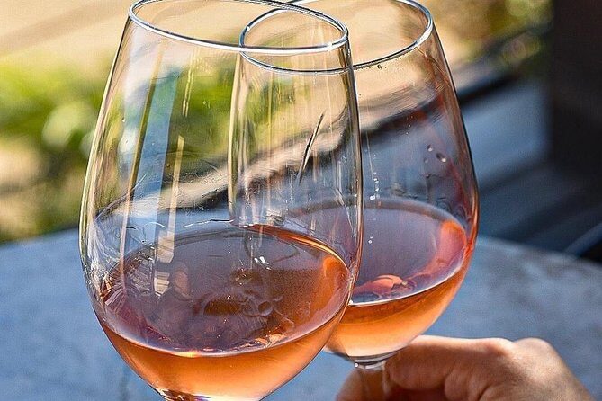 Wine tasting Valle de Guadalupe & Casa Frida - Transportation and Group Size