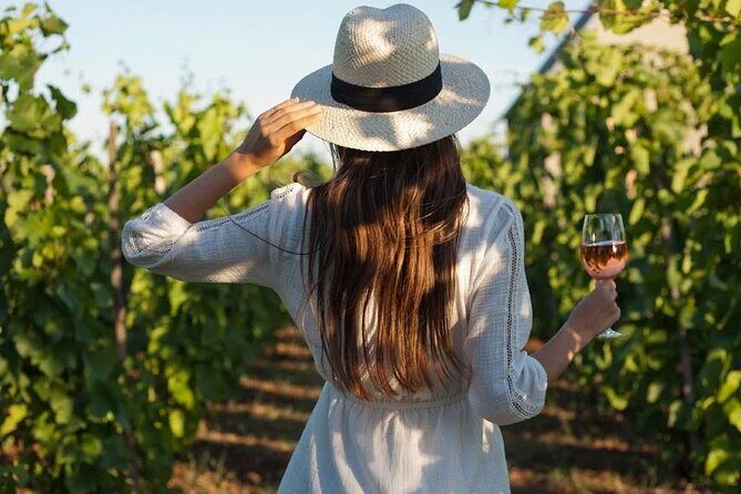Wine Tasting & Vineyards Escape near Tirana - Key Points