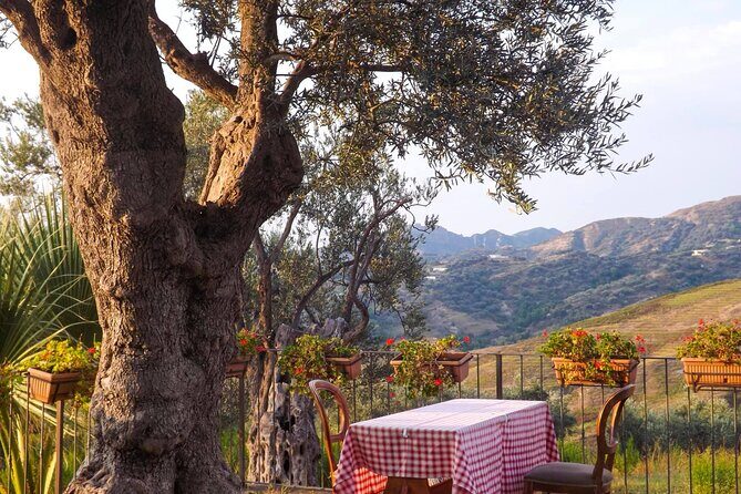 Wine Tasting & Vineyards Escape near Tirana - Final Recommendation